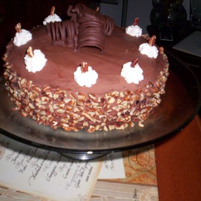 Chocolate Cake Side Veiw