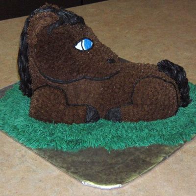 My Horse Cake!