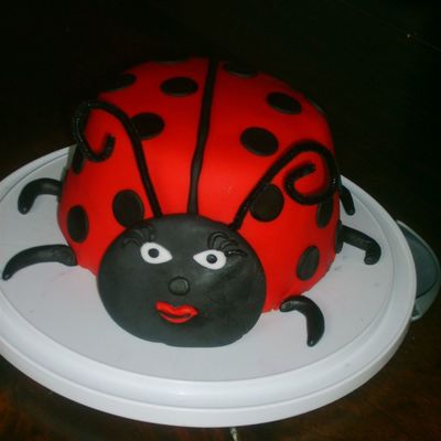 Ladybug