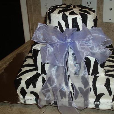 Zebra