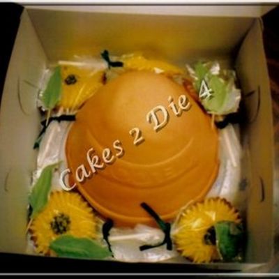 Potted Sunflower Cake