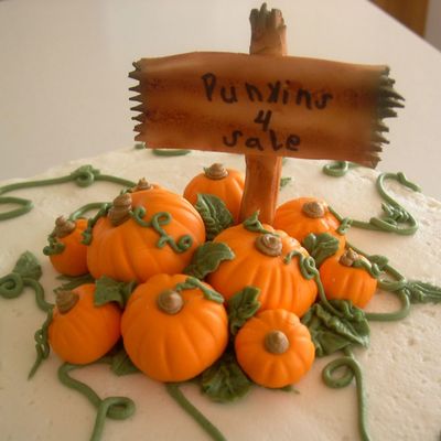 Pumpkin Close Up