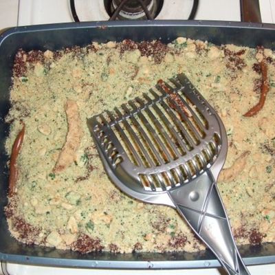 Kitty Litter Cake--My Son's Bday Cake