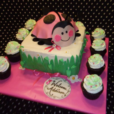 Ladybug Baby Shower Cake