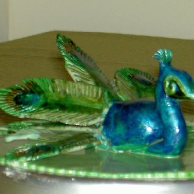 Practice Peacock - Second View