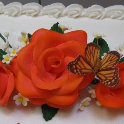 Coral Roses