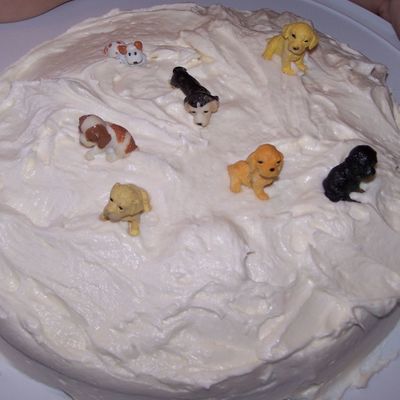Doggie Cake Decorated By My 4 Yr. Old Son
