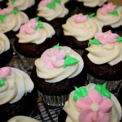 Cupcakes For Kolkhorst