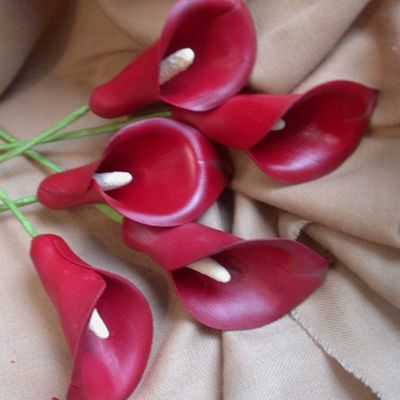 Red Calla Lilies