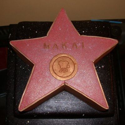 Hollywood Star - Top