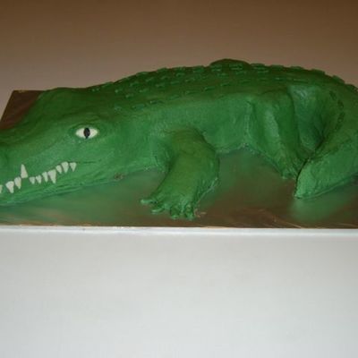 Crocodile
