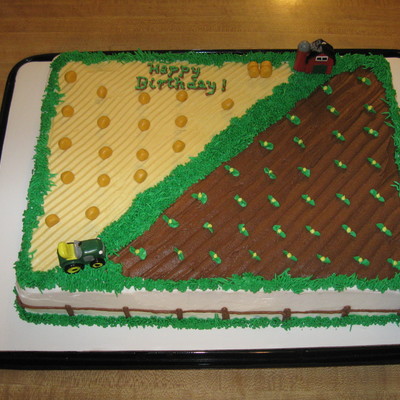 Farm Theme Birthday Cake