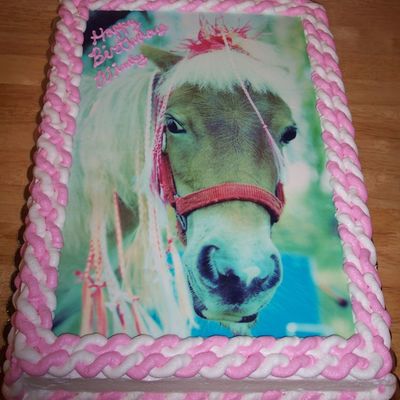 Miniature Horse Birthday