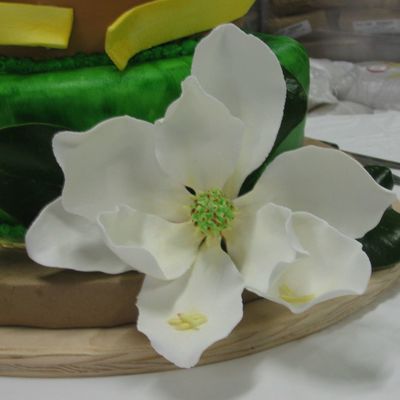 Magnolia