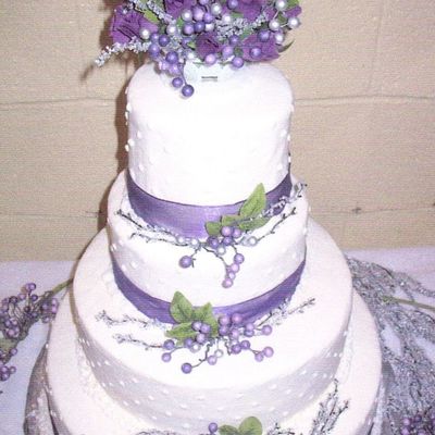 Winter Blizzard Wedding