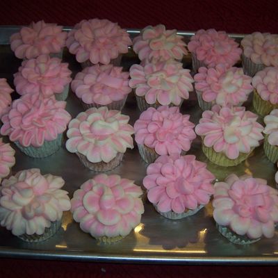 Begonia Cupcakes