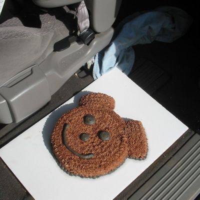 Teddy Bear Face