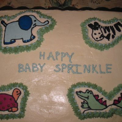 Sister In Laws Baby Sprinkle