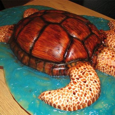 Sea Turtle