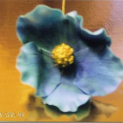 Blue Poppy