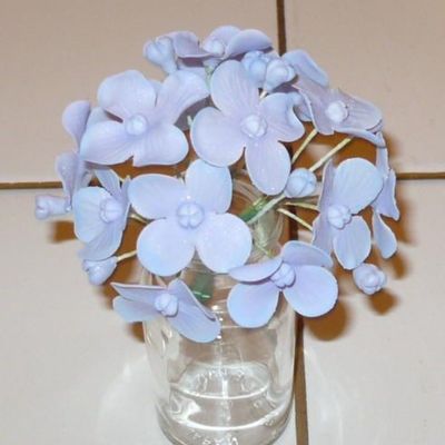 Purple/blue Hydrangeas