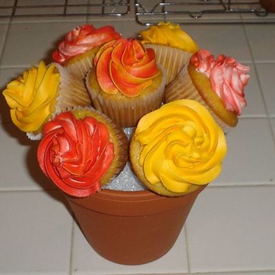 Cupcakes