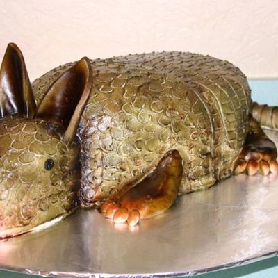 Armadillo