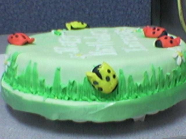Ladybug Cake