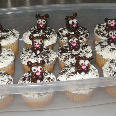 Groundhog Day Cupcakes