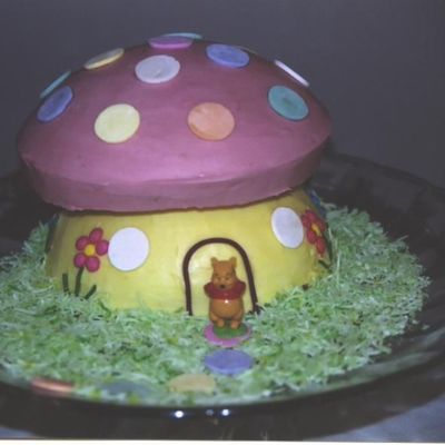 Toadstool Birthday Cake