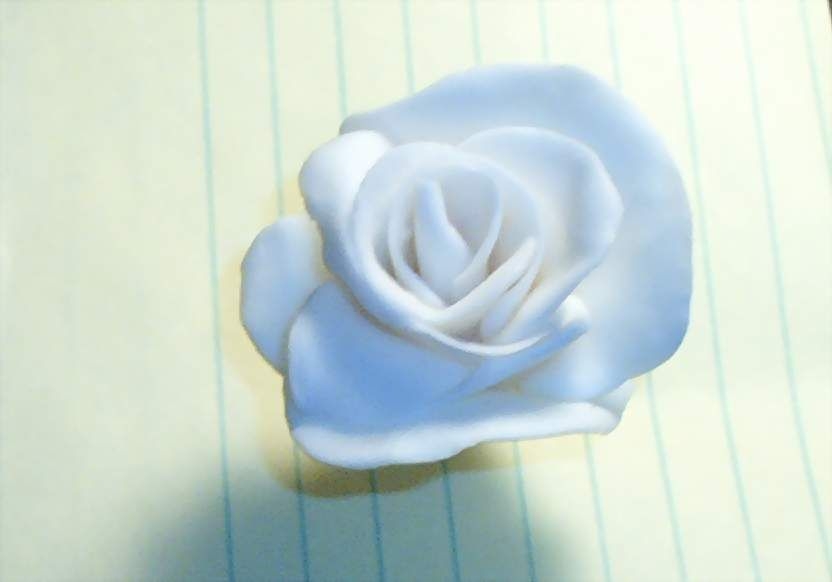 First Fondant Rose!