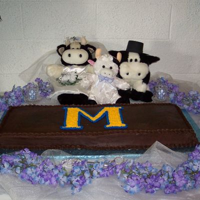 Matt's Groom's Cake # 2