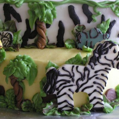 Close Up Of Jungle Cake