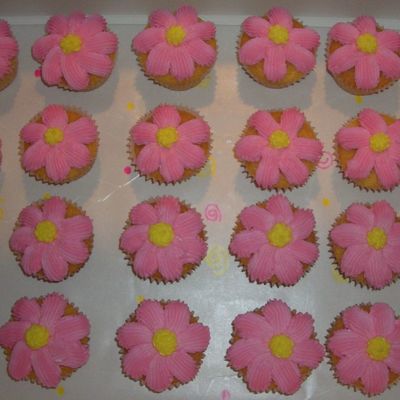 Pink Cupcakes