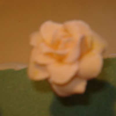 Yellow Rose