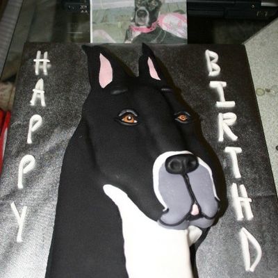 Great Dane