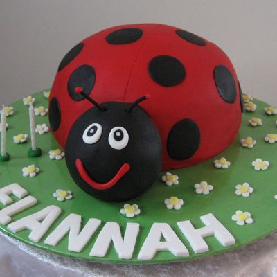 Elannah's Ladybug