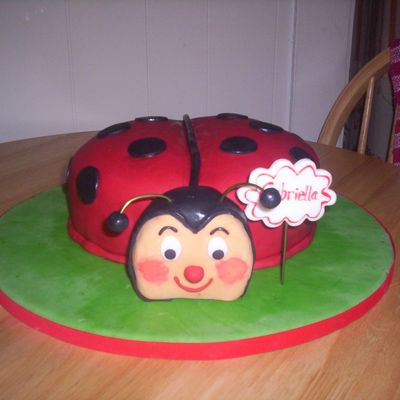 Ladybug Birthday Cake