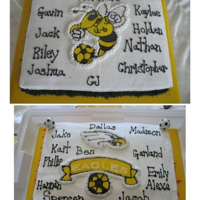 U6 & U8 Team Cakes