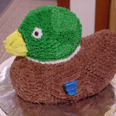 Mallard Duck