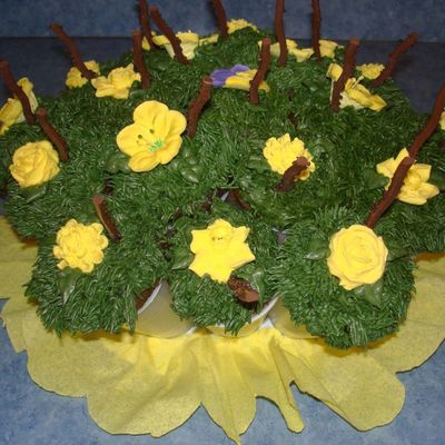 Garden Cupcake Bouquet
