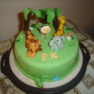 Jungle Cake