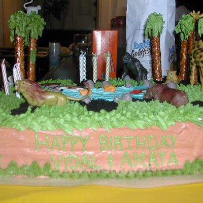 Jungle Cake, Front