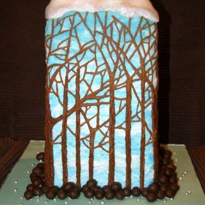 Waikato's Winter Wonderland