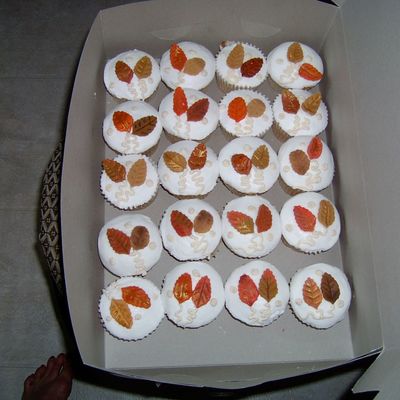 Anybody Want A Cupcake