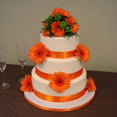 Orange Gerber Daisy