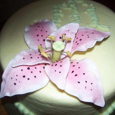 Jamie's Stargazer Lily