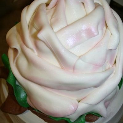 Rose Cake