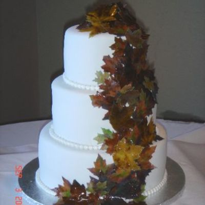 Last Attempt To Make A Large Pic Available