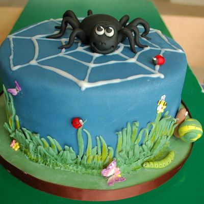 Spider On Rainbow Cake
